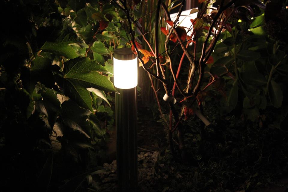 Oświetlenie roślin w ogrodzie. Lampa ogrodowa LED.