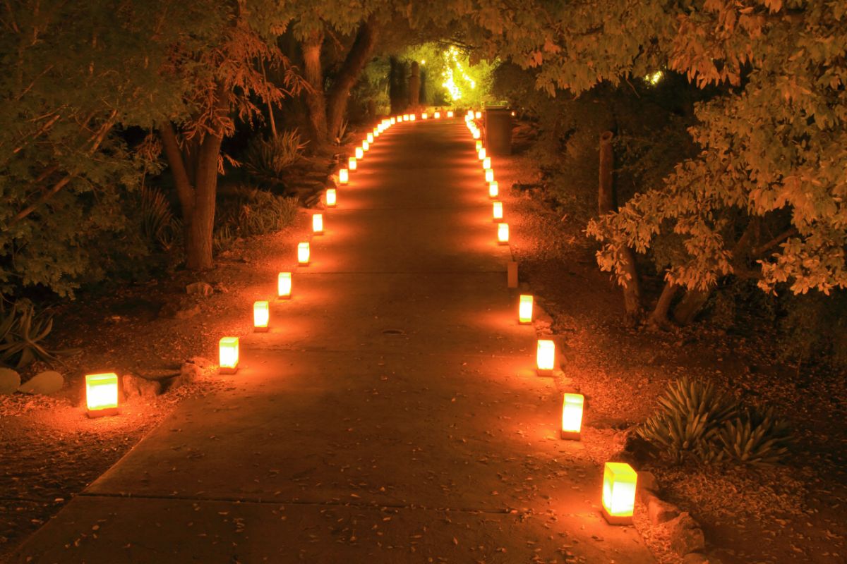 Świąteczne oświetlenie LED ścieżki w ogrodzie