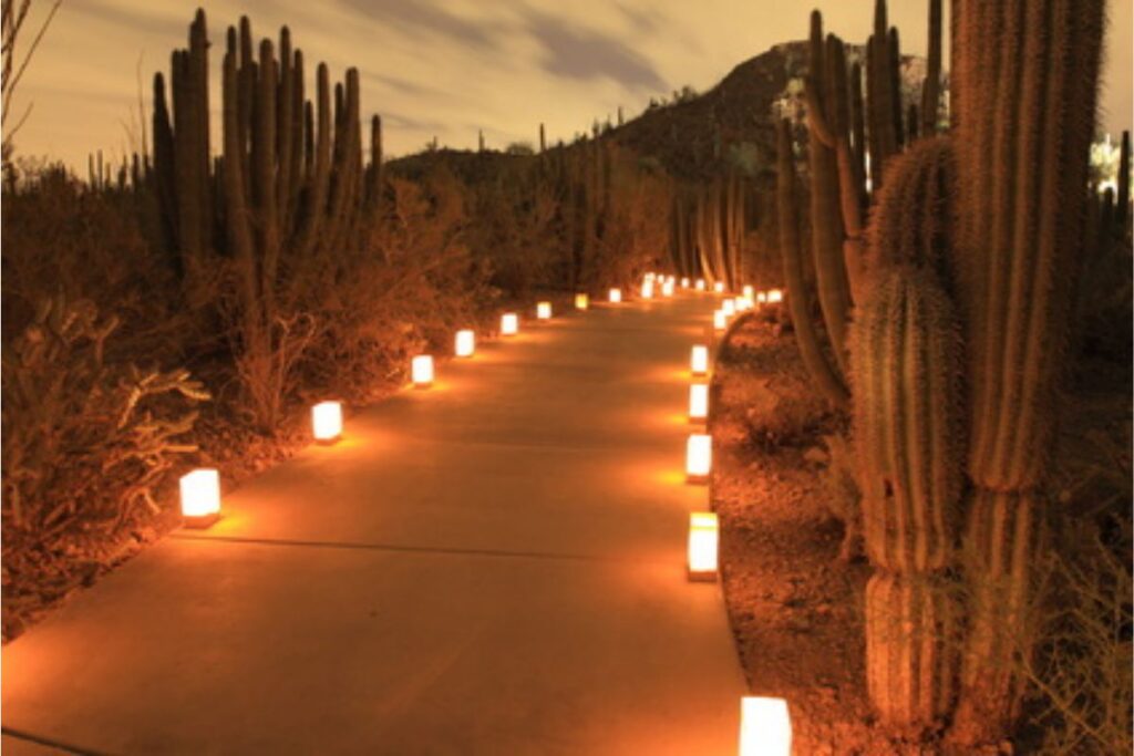 Oświetlenie LED ścieżki wśród kaktusów na meksykańskim wzgórzu